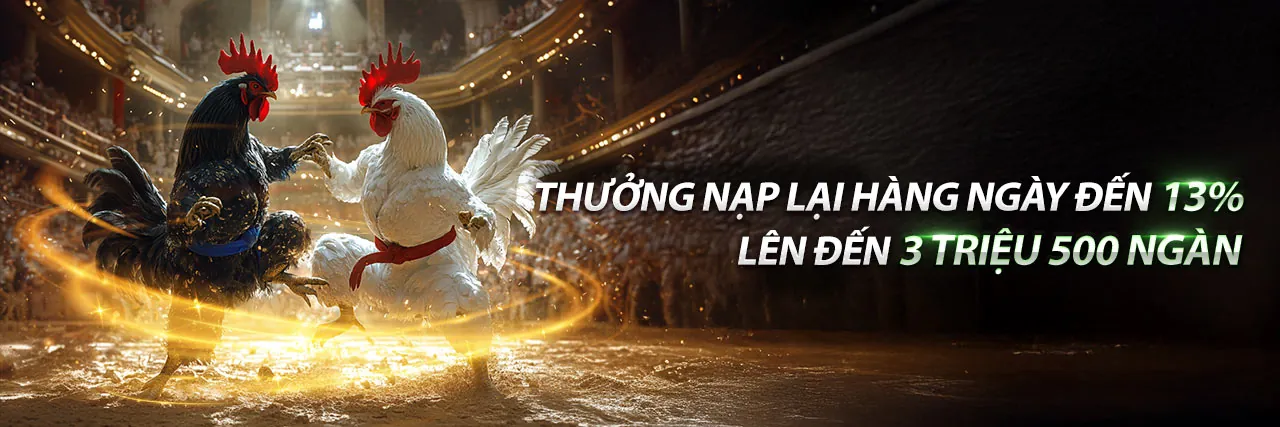 Sân đấu đá gà trực tuyến vnz66 win