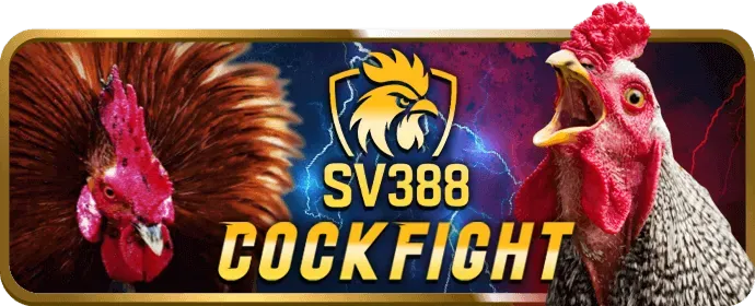 Hệ thống bảo mật và công bằng của VNZ66 Win